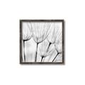 Picture of B&W Flowers end _GroupedProduct_Square_Photography _GroupedProduct_Square_Canvas_Framed_