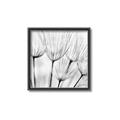 Picture of B&W Flowers end _GroupedProduct_Square_Photography _GroupedProduct_Square_Canvas_Framed_