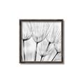 Picture of B&W Flowers end _GroupedProduct_Square_Photography _GroupedProduct_Square_Canvas_Framed_
