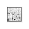 Picture of B&W Flowers end _GroupedProduct_Square_Photography _GroupedProduct_Square_Canvas_Framed_