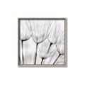 Picture of B&W Flowers end _GroupedProduct_Square_Photography _GroupedProduct_Square_Canvas_Framed_