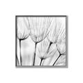 Picture of B&W Flowers end _GroupedProduct_Square_Photography _GroupedProduct_Square_Canvas_Framed_