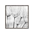 Picture of B&W Flowers end _GroupedProduct_Square_Photography _GroupedProduct_Square_Canvas_Framed_