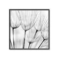 Picture of B&W Flowers end _GroupedProduct_Square_Photography _GroupedProduct_Square_Canvas_Framed_