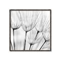 Picture of B&W Flowers end _GroupedProduct_Square_Photography _GroupedProduct_Square_Canvas_Framed_