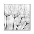 Picture of B&W Flowers end _GroupedProduct_Square_Photography _GroupedProduct_Square_Canvas_Framed_