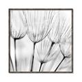 Picture of B&W Flowers end _GroupedProduct_Square_Photography _GroupedProduct_Square_Canvas_Framed_