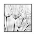 Picture of B&W Flowers end _GroupedProduct_Square_Photography _GroupedProduct_Square_Canvas_Framed_
