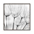 Picture of B&W Flowers end _GroupedProduct_Square_Photography _GroupedProduct_Square_Canvas_Framed_