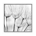 Picture of B&W Flowers end _GroupedProduct_Square_Photography _GroupedProduct_Square_Canvas_Framed_