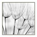 Picture of B&W Flowers end _GroupedProduct_Square_Photography _GroupedProduct_Square_Canvas_Framed_