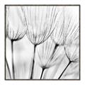 Picture of B&W Flowers end _GroupedProduct_Square_Photography _GroupedProduct_Square_Canvas_Framed_