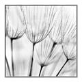Picture of B&W Flowers end _GroupedProduct_Square_Photography _GroupedProduct_Square_Canvas_Framed_