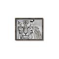 Picture of Big Tiger _GroupedProduct_Rectangle_Landscape_Photography _GroupedProduct_Rectangle_Landscape_Canvas_Framed_