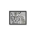 Picture of Big Tiger _GroupedProduct_Rectangle_Landscape_Photography _GroupedProduct_Rectangle_Landscape_Canvas_Framed_