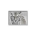 Picture of Big Tiger _GroupedProduct_Rectangle_Landscape_Photography _GroupedProduct_Rectangle_Landscape_Canvas_Framed_