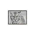 Picture of Big Tiger _GroupedProduct_Rectangle_Landscape_Photography _GroupedProduct_Rectangle_Landscape_Canvas_Framed_