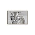 Picture of Big Tiger _GroupedProduct_Rectangle_Landscape_Photography _GroupedProduct_Rectangle_Landscape_Canvas_Framed_