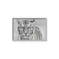 Picture of Big Tiger _GroupedProduct_Rectangle_Landscape_Photography _GroupedProduct_Rectangle_Landscape_Canvas_Framed_
