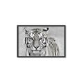 Picture of Big Tiger _GroupedProduct_Rectangle_Landscape_Photography _GroupedProduct_Rectangle_Landscape_Canvas_Framed_