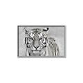 Picture of Big Tiger _GroupedProduct_Rectangle_Landscape_Photography _GroupedProduct_Rectangle_Landscape_Canvas_Framed_