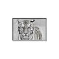 Picture of Big Tiger _GroupedProduct_Rectangle_Landscape_Photography _GroupedProduct_Rectangle_Landscape_Canvas_Framed_