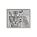 Picture of Big Tiger _GroupedProduct_Rectangle_Landscape_Photography _GroupedProduct_Rectangle_Landscape_Canvas_Framed_