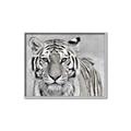 Picture of Big Tiger _GroupedProduct_Rectangle_Landscape_Photography _GroupedProduct_Rectangle_Landscape_Canvas_Framed_