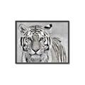 Picture of Big Tiger _GroupedProduct_Rectangle_Landscape_Photography _GroupedProduct_Rectangle_Landscape_Canvas_Framed_