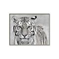 Picture of Big Tiger _GroupedProduct_Rectangle_Landscape_Photography _GroupedProduct_Rectangle_Landscape_Canvas_Framed_