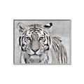 Picture of Big Tiger _GroupedProduct_Rectangle_Landscape_Photography _GroupedProduct_Rectangle_Landscape_Canvas_Framed_