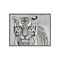 Picture of Big Tiger _GroupedProduct_Rectangle_Landscape_Photography _GroupedProduct_Rectangle_Landscape_Canvas_Framed_