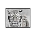 Picture of Big Tiger _GroupedProduct_Rectangle_Landscape_Photography _GroupedProduct_Rectangle_Landscape_Canvas_Framed_