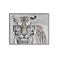 Picture of Big Tiger _GroupedProduct_Rectangle_Landscape_Photography _GroupedProduct_Rectangle_Landscape_Canvas_Framed_