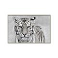 Picture of Big Tiger _GroupedProduct_Rectangle_Landscape_Photography _GroupedProduct_Rectangle_Landscape_Canvas_Framed_