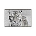 Picture of Big Tiger _GroupedProduct_Rectangle_Landscape_Photography _GroupedProduct_Rectangle_Landscape_Canvas_Framed_
