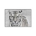 Picture of Big Tiger _GroupedProduct_Rectangle_Landscape_Photography _GroupedProduct_Rectangle_Landscape_Canvas_Framed_