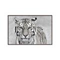 Picture of Big Tiger _GroupedProduct_Rectangle_Landscape_Photography _GroupedProduct_Rectangle_Landscape_Canvas_Framed_