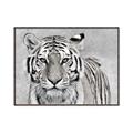 Picture of Big Tiger _GroupedProduct_Rectangle_Landscape_Photography _GroupedProduct_Rectangle_Landscape_Canvas_Framed_