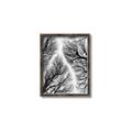 Picture of Web of Trees _GroupedProduct_Rectangle_Portrait_Photography _GroupedProduct_Rectangle_Portrait_Canvas_Framed_