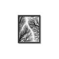 Picture of Web of Trees _GroupedProduct_Rectangle_Portrait_Photography _GroupedProduct_Rectangle_Portrait_Canvas_Framed_