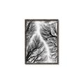 Picture of Web of Trees _GroupedProduct_Rectangle_Portrait_Photography _GroupedProduct_Rectangle_Portrait_Canvas_Framed_
