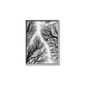 Picture of Web of Trees _GroupedProduct_Rectangle_Portrait_Photography _GroupedProduct_Rectangle_Portrait_Canvas_Framed_