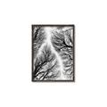 Picture of Web of Trees _GroupedProduct_Rectangle_Portrait_Photography _GroupedProduct_Rectangle_Portrait_Canvas_Framed_