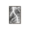 Picture of Web of Trees _GroupedProduct_Rectangle_Portrait_Photography _GroupedProduct_Rectangle_Portrait_Canvas_Framed_