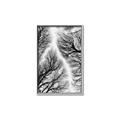 Picture of Web of Trees _GroupedProduct_Rectangle_Portrait_Photography _GroupedProduct_Rectangle_Portrait_Canvas_Framed_