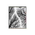 Picture of Web of Trees _GroupedProduct_Rectangle_Portrait_Photography _GroupedProduct_Rectangle_Portrait_Canvas_Framed_