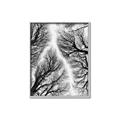 Picture of Web of Trees _GroupedProduct_Rectangle_Portrait_Photography _GroupedProduct_Rectangle_Portrait_Canvas_Framed_