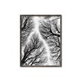 Picture of Web of Trees _GroupedProduct_Rectangle_Portrait_Photography _GroupedProduct_Rectangle_Portrait_Canvas_Framed_