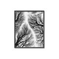 Picture of Web of Trees _GroupedProduct_Rectangle_Portrait_Photography _GroupedProduct_Rectangle_Portrait_Canvas_Framed_